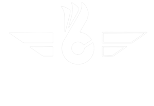 On6 TEAM Logo in white