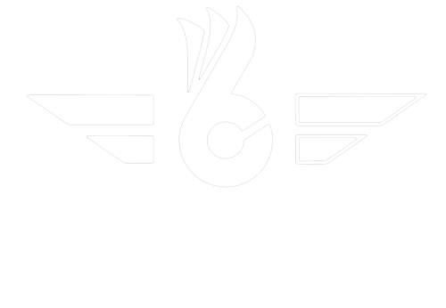 On6 TEAM Logo in white